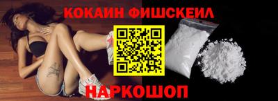 крисы Можга