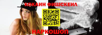 крисы Можга