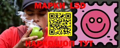 крисы Можга
