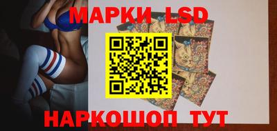 крисы Можга