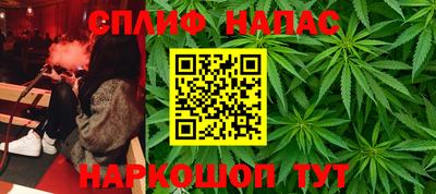 крисы Можга
