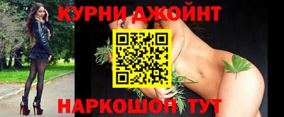 крисы Можга