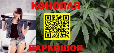 крисы Можга