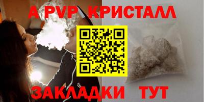 крисы Можга