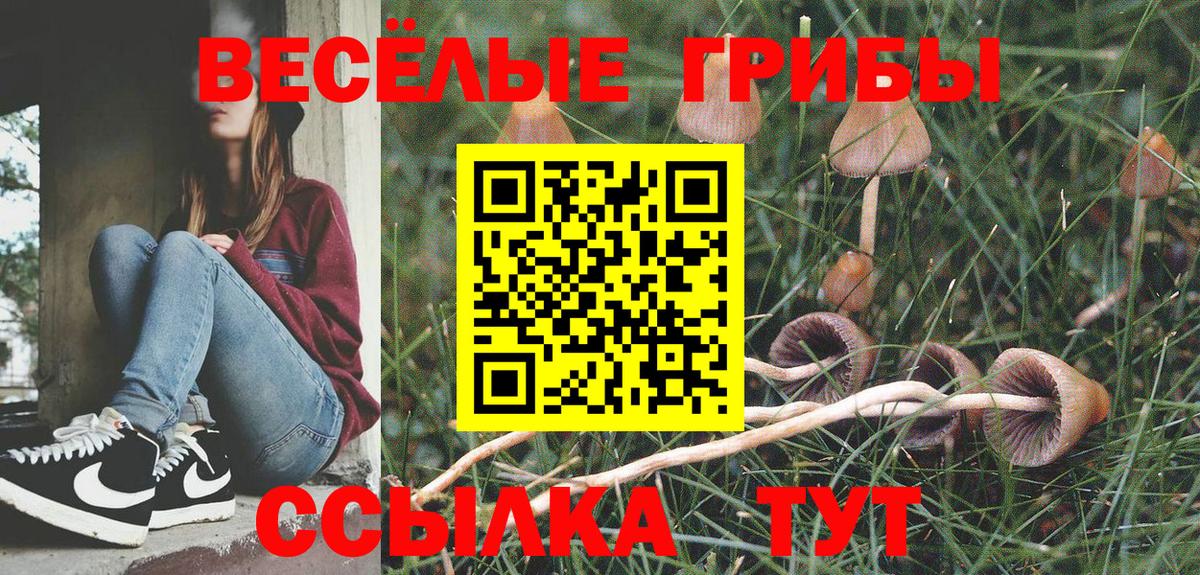 Урус-Мартан  Псилоцибиновые грибы мицелий  Вход с VPN  Галлюциногенные грибы Magic Shrooms 